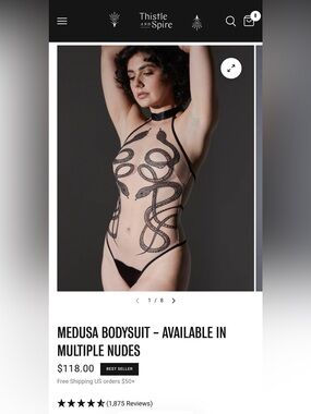 Thistle and Spire Nude and Black Sheer Embroidered Bodysuit